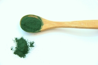 Spirulina Benefits For Dogs and Cats