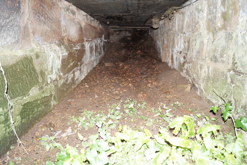 The Mill House, Ercall Magna