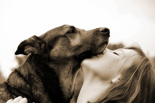 Does Your Dog Really Love You?