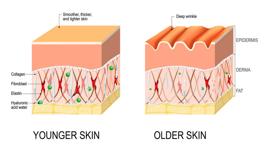 Skin & Ageing
