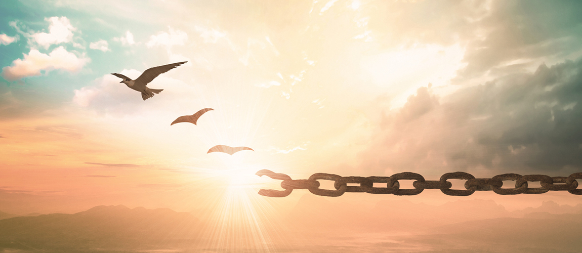 Devon Community Support