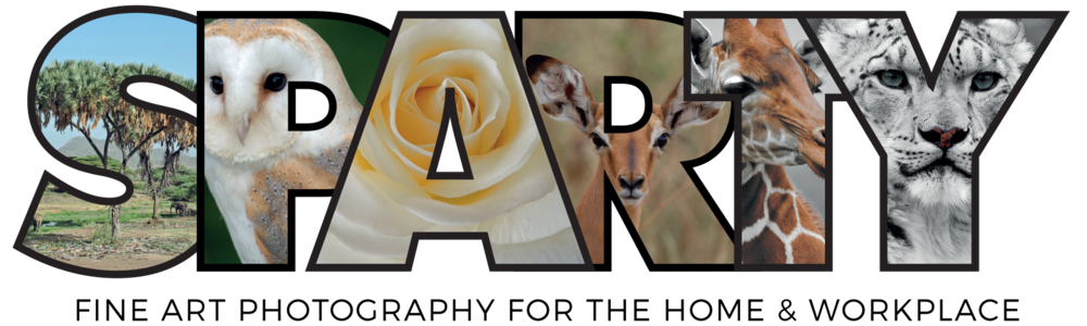 Sparty.uk | Art photography | Photographic Art | Interiors