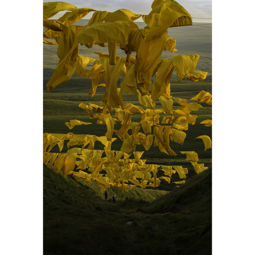 Art installation "Hush" - County Durham