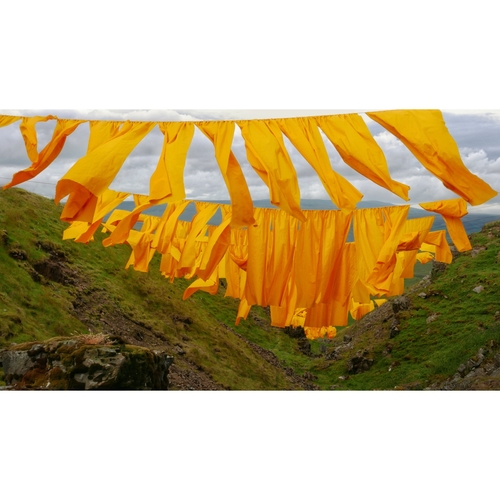 Art installation "Hush" - County Durham