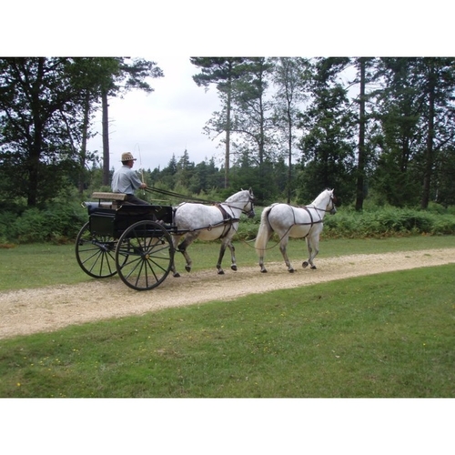 Bennington Ralli Car ref (797397)