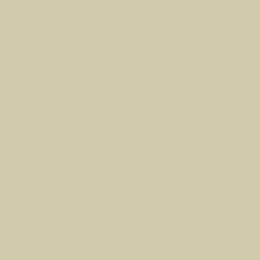 3M™ SC Translucent 3630-149 - Light Beige