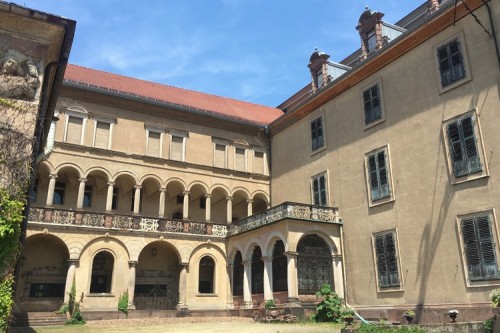 Example News Article