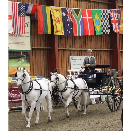 Windover Dog Cart ref (797395)