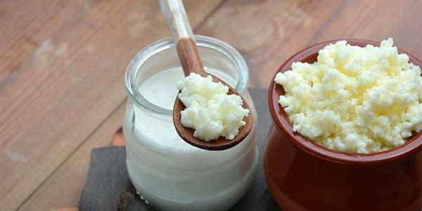 Benefits of kefir