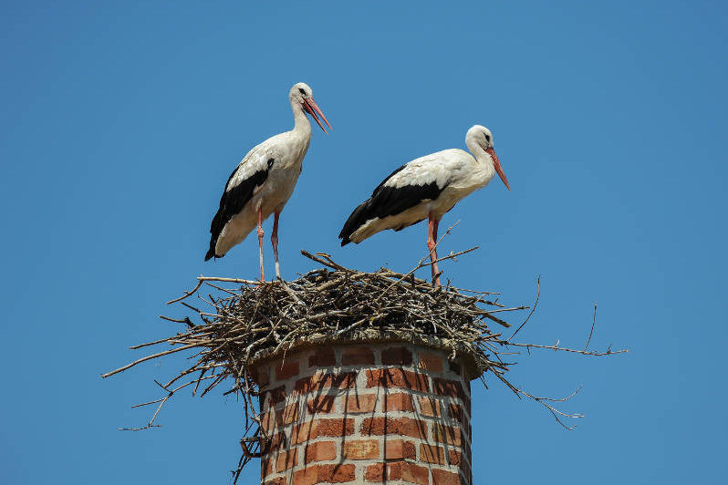 Sweeping & Maintenance