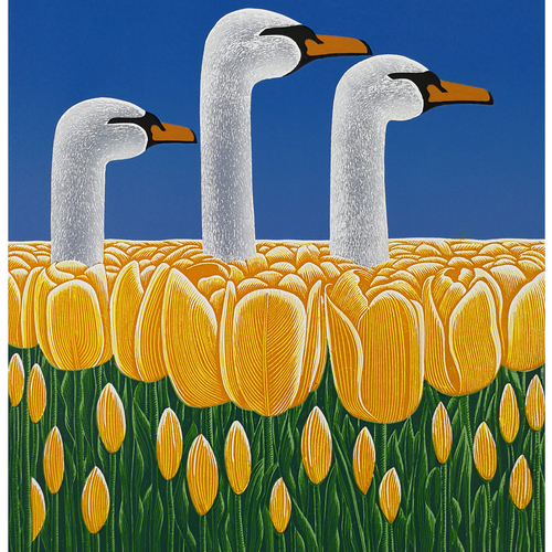 White Swans and Tulips