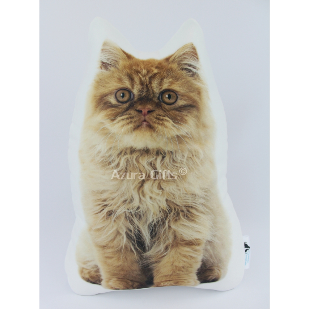 Ginger Persian Shaped Cat Cushion