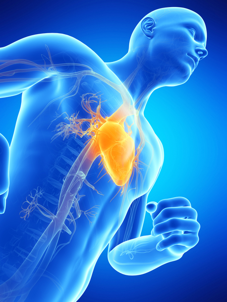 Top 10 Healthy Heart Tips