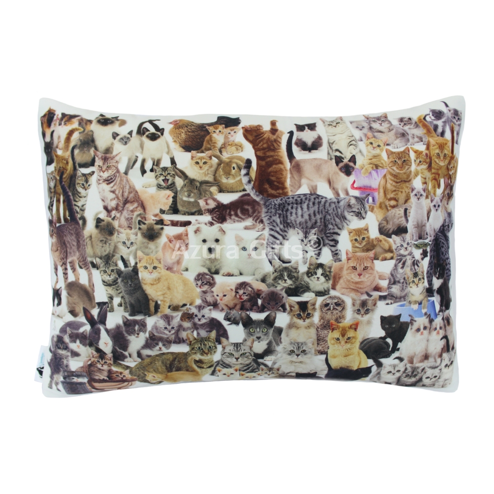 Mixed Rectangular Cat Cushion