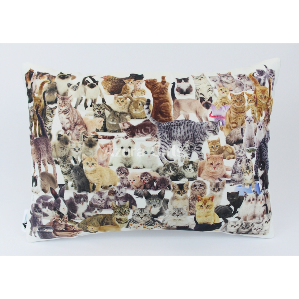 Mixed Rectangular Cat Cushion