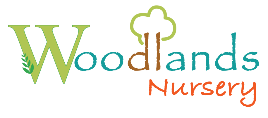 Woodlands Nursery | Tooting Nursery | Woodlands Nursery | Nursery Tooting Broadway 