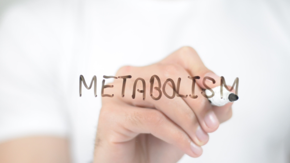 Unravelling the Intricacies of Immunometabolism: Bridging Immunology and Metabolism